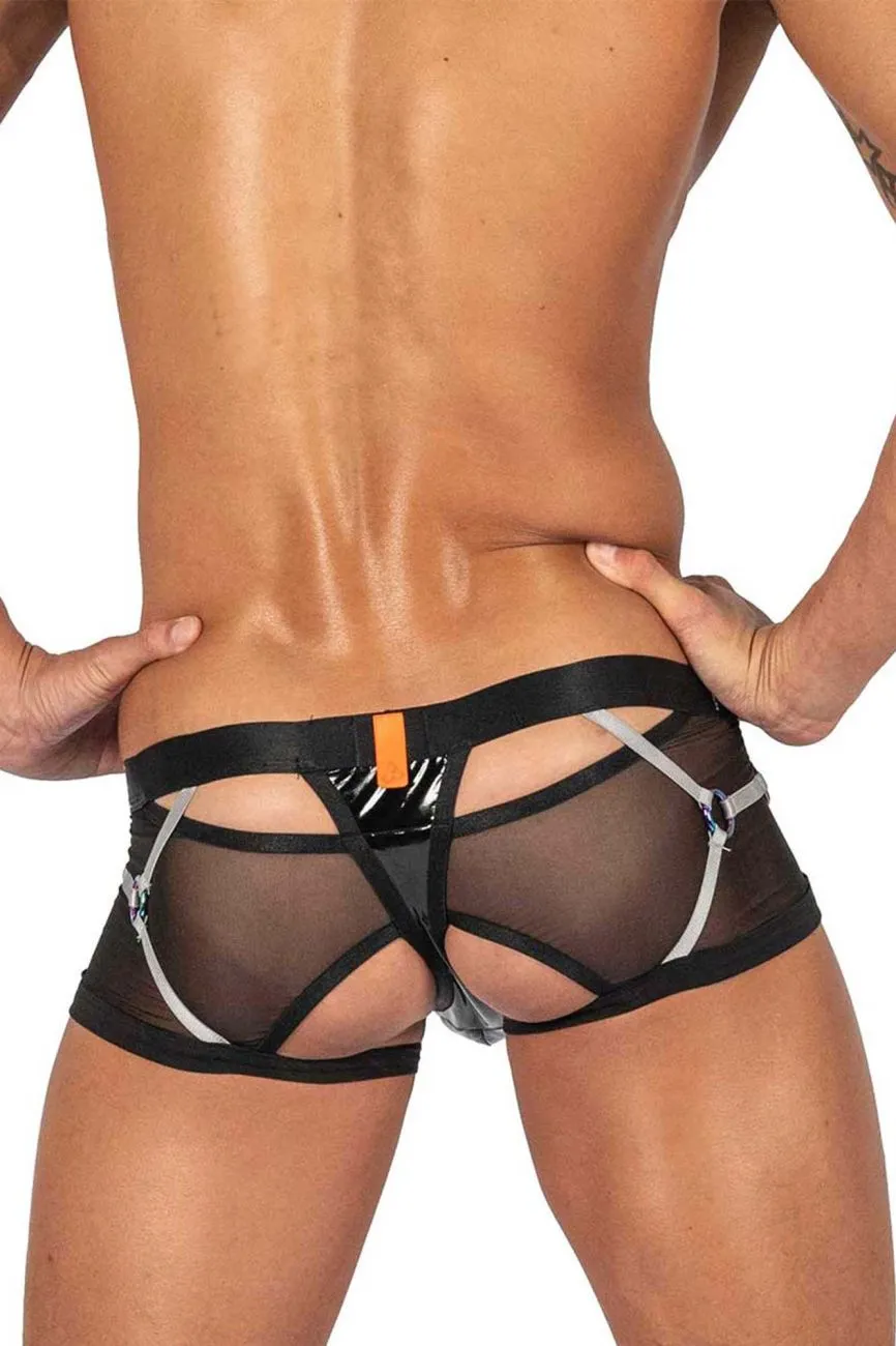 Alpha Low Waist Harness Trunks